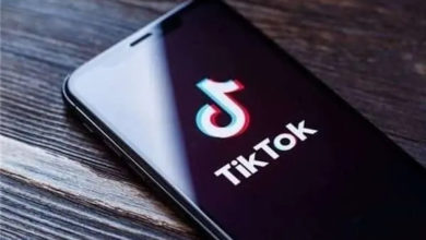 Фото - Франция начала расследование деятельности TikTok