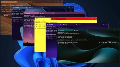 Фото - Microsoft добавила поддержку разноцветных тем в Windows Terminal
